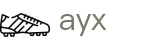 AYX爱游戏 - 专注华人用户 公平透明竞猜